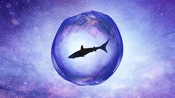 shark in water drop  | vjloops |  envato | vj loop | motiongraphics | vj footage