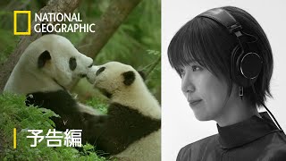 キングダム・オブ・チャイナ：隠された大自然 (声：青木瑠璃子) - 予告編 | ナショジオ