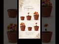 Day 35/100 - Healing, Growth &amp; Setbacks 🌼 | Progress Looks Different #viral #shorts