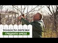 Обрезка грецкого ОРЕХА. Что НУЖНО ЗНАТЬ?