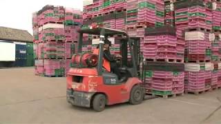 AHDB Horticulture - Safety on Soft Fruit Farms - English screenshot 1