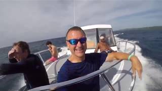 Roatan Honduras - Turquoise Bay Resort Day 5 - Scuba Diving and Shark by capttaylor03 223 views 4 years ago 9 minutes, 30 seconds