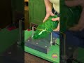 The Most Satisfying Paint Roller Moment