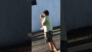 Disapproving Cat Slaps a Guy Carrying It
