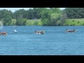 HQ Canadian Dragon Boat Championships 2014 ★ Race 5 ★ PDBC A, CSDC Mixed, Quinte HEAT Senior A