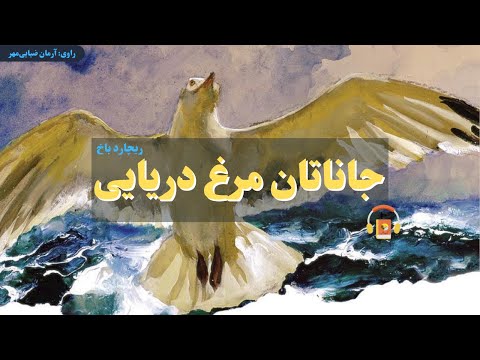 تصویری: مرغ های دریایی کجا پرواز می کنند