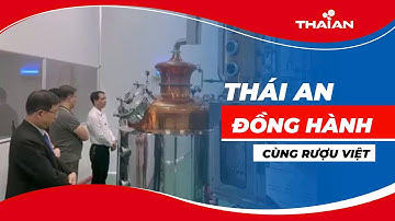 Từ Nồi Gang Đến Tháp Chưng Cất Rượu Công Nghệ Cao – Thái An Đồng Hành Cùng Rượu Việt!