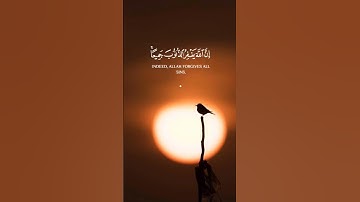 #تلاوات #آيات #القرآن_الكريم #قرآن #تلاوة #قران_كريم #تلاوة_خاشعة  #قران #ترند #القرآن   #quran