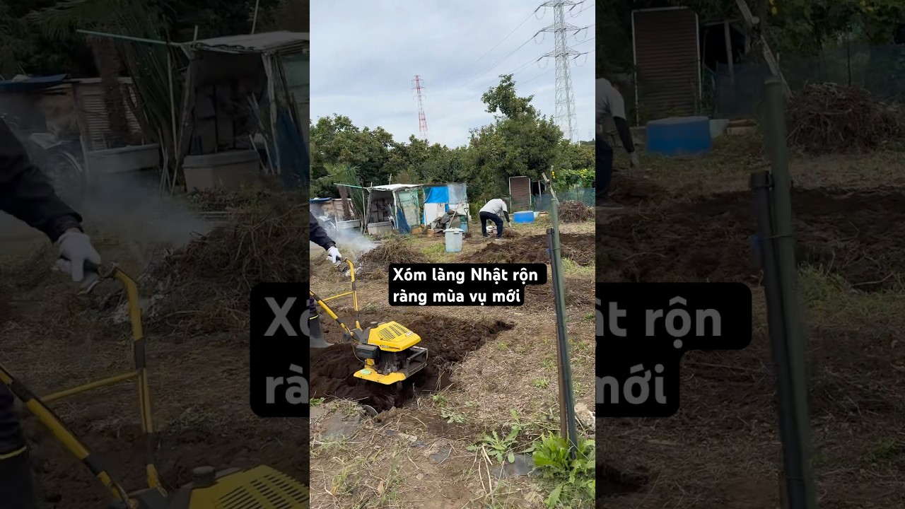 Bắt đầu mùa vụ mới ở nhật như thế nào