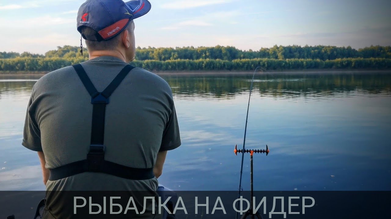 Рыбалка 2025. Фидер на реке. Поклёвки на фидер.