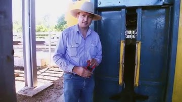 Universal applying electronic tags