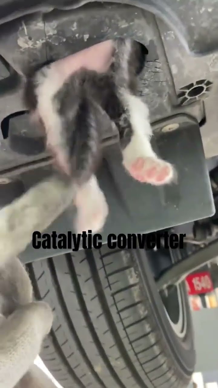 Catalytic converter just doing what it do