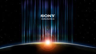 Sony Case Study