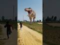dinosaurs na to mar diya 😲😺😲😺😲#dinosurs#mar#diya#viral#short#video