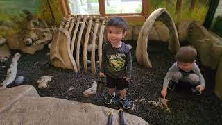 Exploring the Hidden Gems of Troy Nature Center