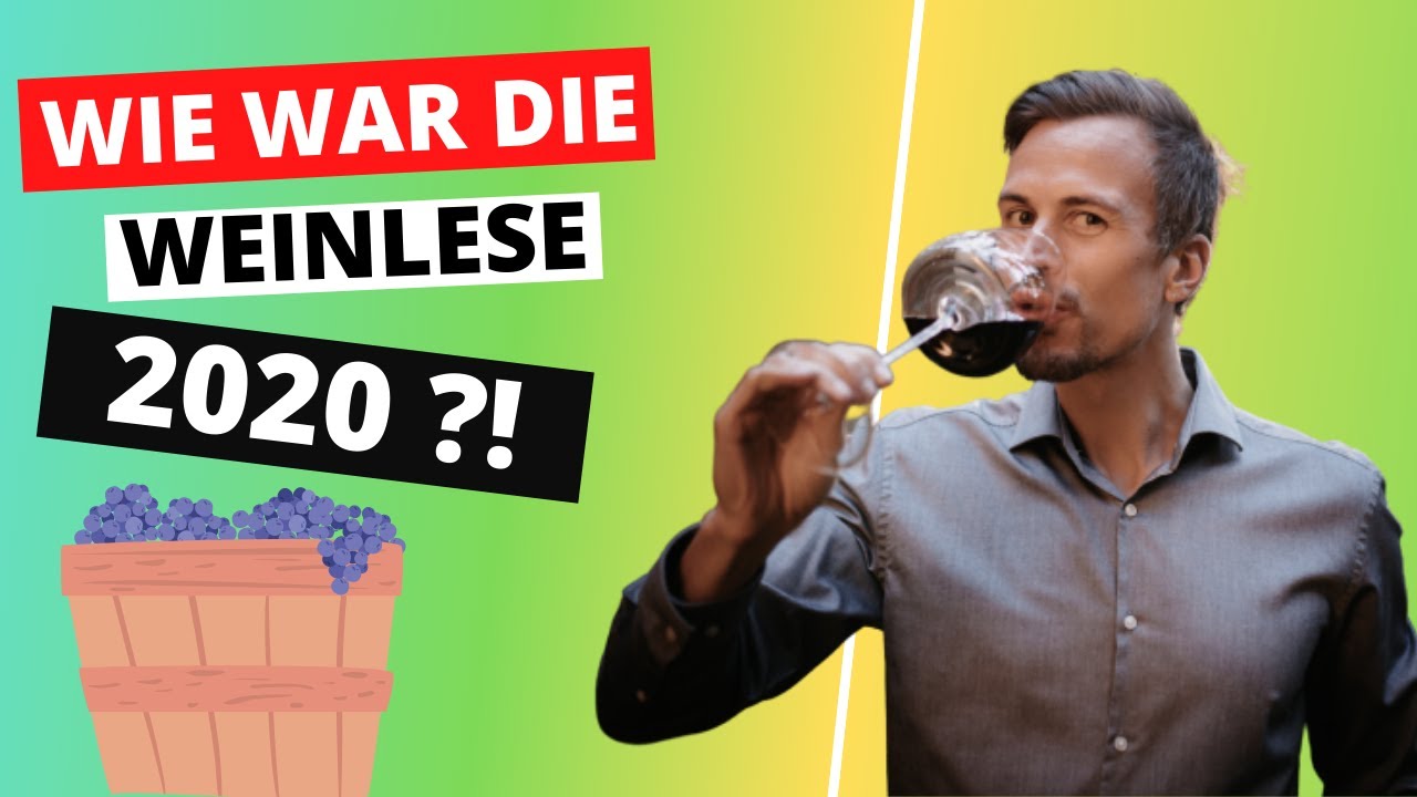 Wie war die Weinlese 2020? - Interview mit verschiedenen Winzern