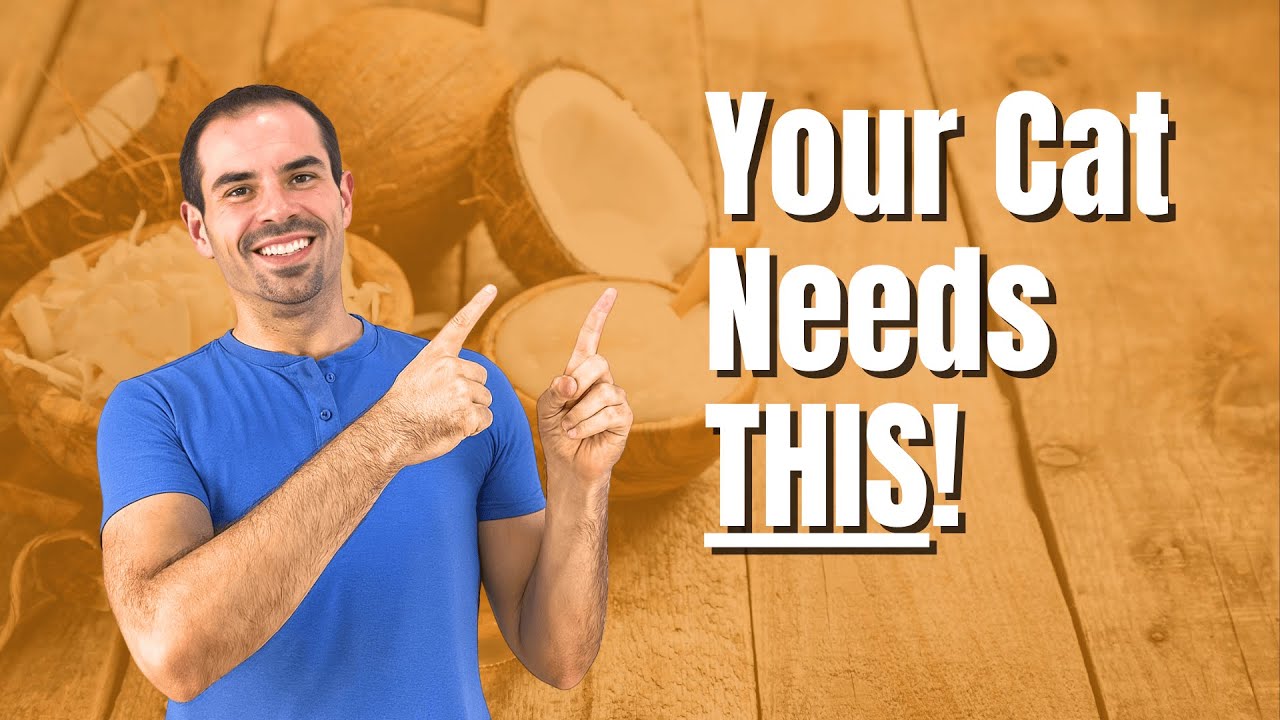 The Secret to a Softer, Shinier Cat Coat