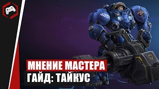 МНЕНИЕ МАСТЕРА #213: «Anmissem» (Гайд - Тайкус) | Heroes of the Storm