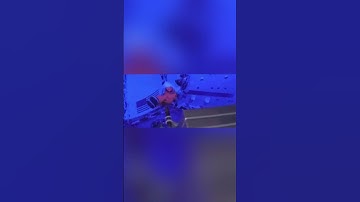 SNOOPY IN SPACE NASA’S Artemis spacecraft arrives at the Moon, can you spot Snoopy?