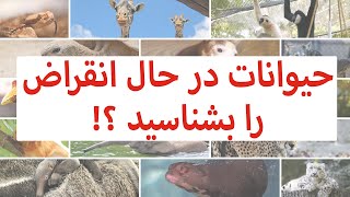 حیوانات در حال انقراض جهان