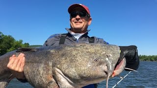 Catching Giant Flathead Catfish on the Tennessee River