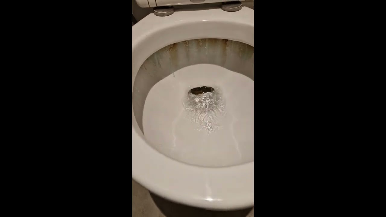 WC sanibroyeur bouché @KEOV