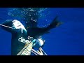 Spearfishing Groupers in the Open Water - Στηρες στο μπλε