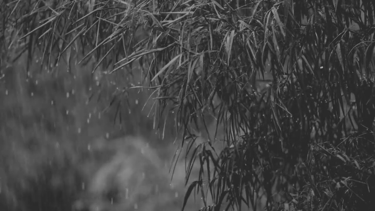 Rain Sounds for Deep Sleep 🌧️ 3 Hours | Relaxing Night Rain Music for Insomnia & Stress Relief