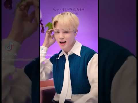 Park jimin/Filter                     Bangtan Army Playlist