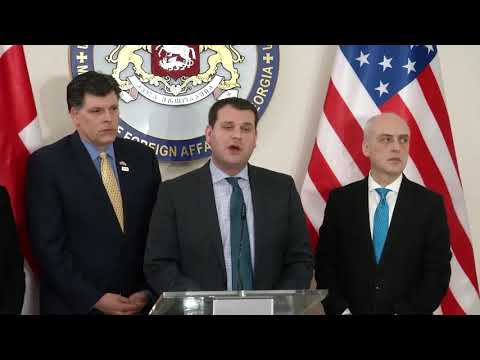 გენადი არველაძის კომენტარი EWG-ის სამუშაო ჯგუფის შეხვედრის შესახებ