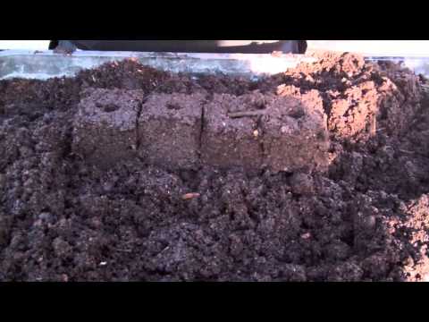 Soil Blocker Demonstration