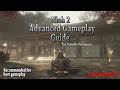 Nioh 2: Advanced Gameplay Guide