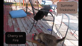 Summer Trickshots   Cherry on Fire