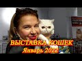 Москва. Январь 2022. ТРЦ МАРИ. Выставка Кошек .  Ретроградный Меркурий "сделал нервы" кошкам. 😉😺