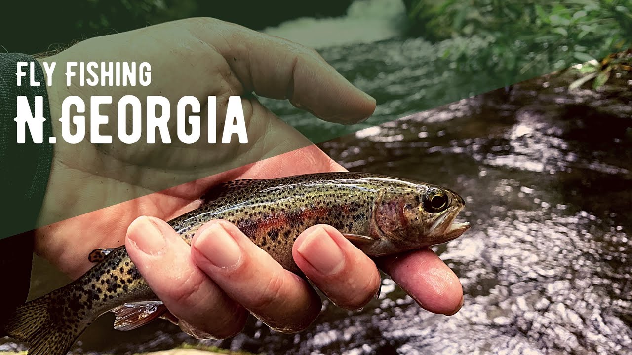 Fly Fishing North June 2020 YouTube