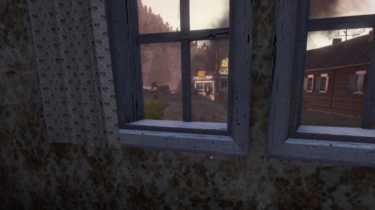 DayZ - The main character