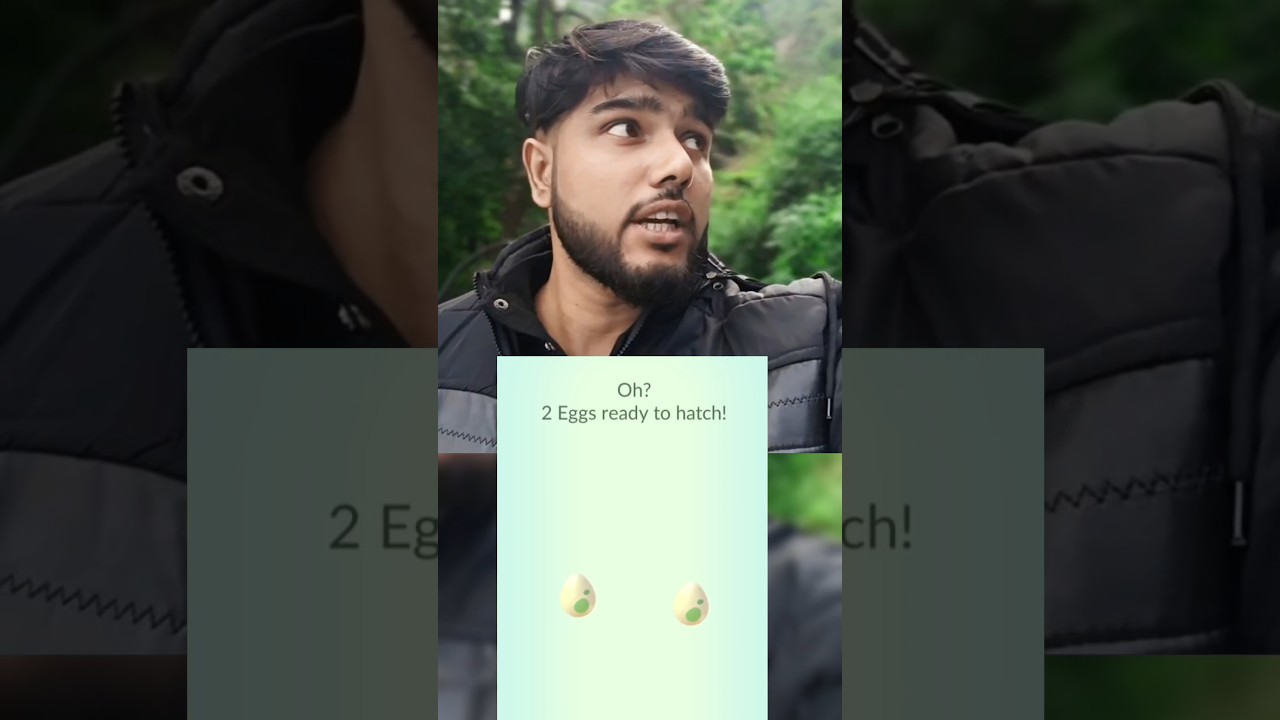 Egg Hatch In Darjeeling India ❤️ Pokémon Go 2025 