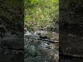 Idaho Creek