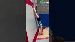 Stutrol Naar Handstand