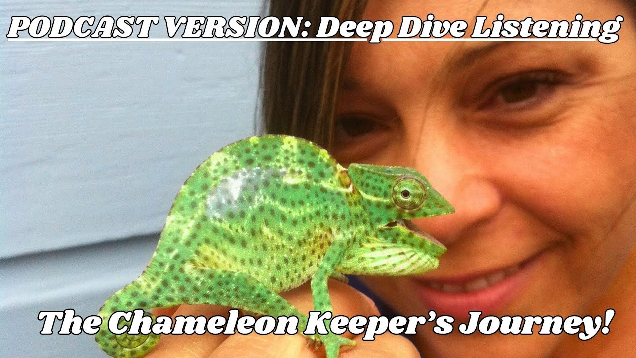 Подкаст «Путешествие хранителей хамелеонов»