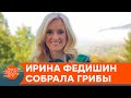 Ирина Федишин показала, какой урожай грибов собрала в лесу — ICTV