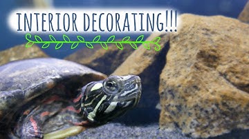 Live Plants in a Turtle Tank? - Decorating the Turtle Aquarium | Turtle 101