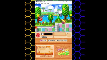 How To Use Cheats in DeSmuME (Custom Cheats)