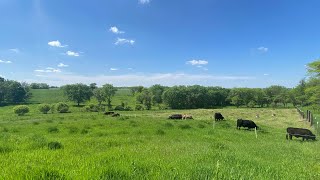 Context And How It Relates To Small Grazing Operations