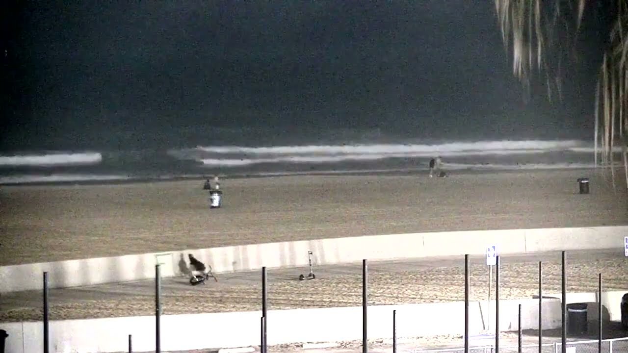 F Surfline Cam Graffiti Artist Footage