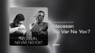 Elvin Abullayev x Aynur — Necəsən, Nə Var, Nə Yox? (Rəsmi Audio)