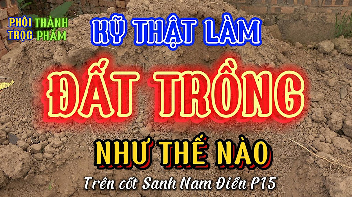 Nấm có cách dinh dưỡng như thế nào năm 2024