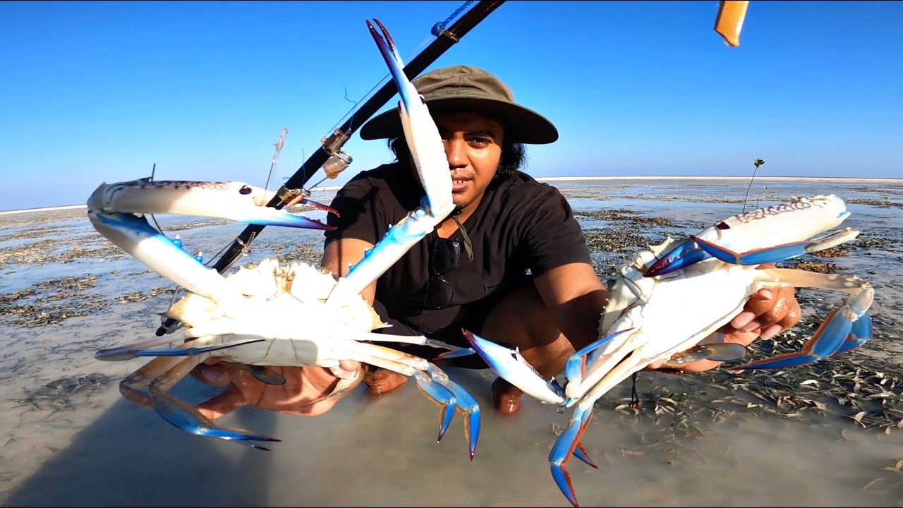 BERBURU DAN MEMASAK KEPITING RAJUNGAN SERU‼️