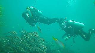 Diving in salalah 2013 اجمل رحلة غوص في صلاله