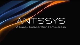 Daryl Guppy Introduction to ANTSSYS Super Guppy